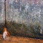 Slab Leak Detection in San Diego A Homeowners Guide img 85x85