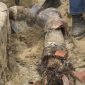 The Hidden Dangers of Tree Roots to Your San Diego Sewer Lines img 85x85